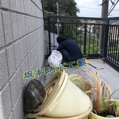 🪣防水屋🪣日給¥12,000~の画像