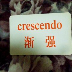 おもしろい中国音楽教材（USED品）です。の画像