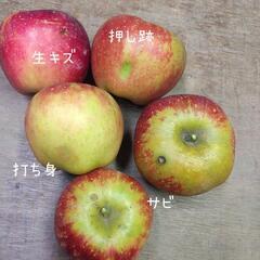 訳ありリンゴ②