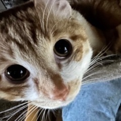 1年5ヶ月