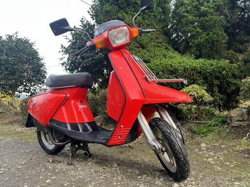 るい 550_03-300x172.jpg