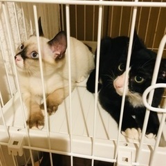 ふじとおと💫仲良し兄弟です⭐️