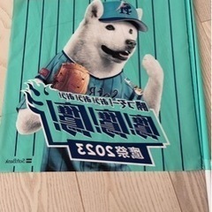 福岡ソフトバンクホークス　鷹の祭典　2023応援フラッグ　2個セットの画像