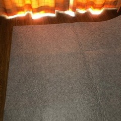 ✨️新品！ニトリ低反発ラグパッド(下敷き専用)【引き取り可能な方限定】決まりました！の画像