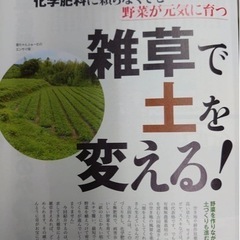 自然栽培体験3月28日正午