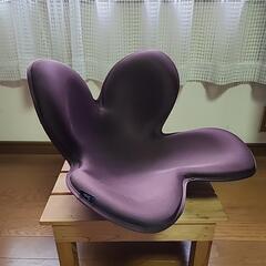 定価18400円の骨盤矯正チェア