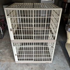 猫ゲージ