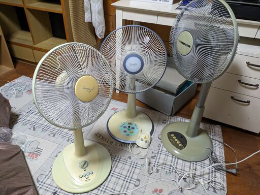 今年の夏は暑かった！来年も酷暑の可能性が！？