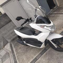 ホンダ　ＰＣＸ白の画像