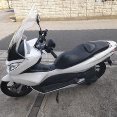 ホンダ　ＰＣＸ白の画像