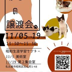 猫の譲渡会　in　名古屋市昭和生涯学習センター