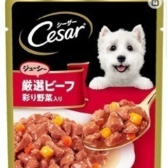 ドッグフード(ゼリータイプ) シーザー社の画像