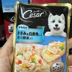 ドッグフード(ゼリータイプ) シーザー社の画像