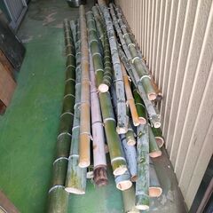 青竹　長さ　2ｍ～2.5ｍ　径１０cm～２．５cm　合計　20～２３本ぐらい正確にはわかりません。１０/１８伐採　の画像