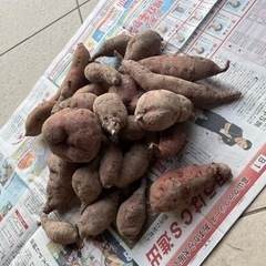 さつまいもの画像