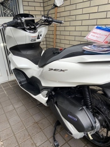 金額下げました！引き取り希望です(群馬県渋川市)