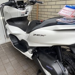 金額下げました！引き取り希望です(群馬県渋川市)の画像
