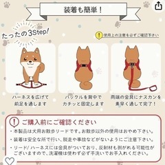 リードとハーネスの画像