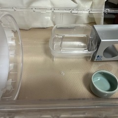 ❗️値下げ中❗️ハムスター　飼育セットの画像