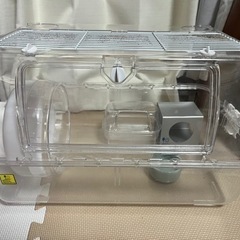 ❗️値下げ中❗️ハムスター　飼育セットの画像