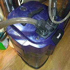 水草水槽セット譲りますの画像