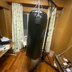 夏に向けての美筋作りスタート❣️サンドバッグ➕スタンドの画像