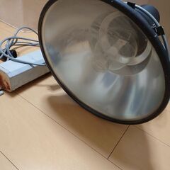 灯火採集器材セット