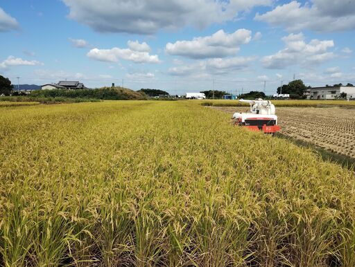 令和6年産】奈良県産ヒノヒカリ 玄米30kg | 奈良県天理市