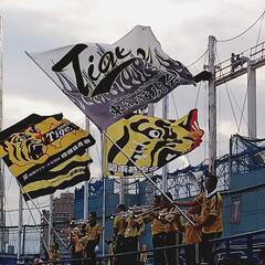 🍻2024  2/10 もうすぐ開幕！阪神タイガースファン🐯