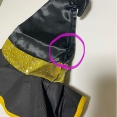 魔女🧙‍♀️衣装　【黄色】の画像