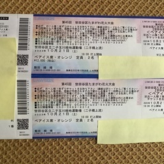 第45回 世田谷区たまがわ花火大会  ペアシート