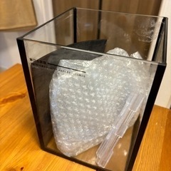 コトブキ　レグラス　水槽①