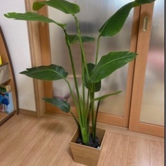 フェイクグリーン【定価8000円程】