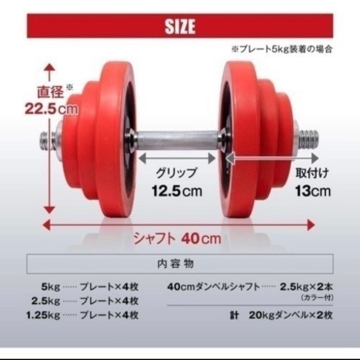 IROTEC（アイロテック） ラバー ダンベル 40KGセット（片手20kg×2個）