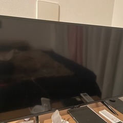 テレビ