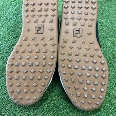 FJ  スパイクレス　ゴルフシューズ　25Cmの画像
