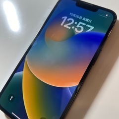 高性能カメラ 大容量メモリ iPhone13pro 256GB グレー SIMフリー