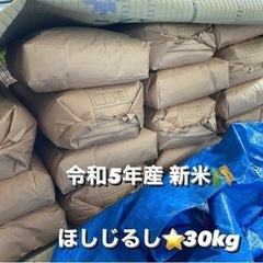 残りわずか‼️令和5年度産新米🌾ほしじるし米⭐️30kg の画像