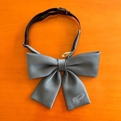 ポンポネット　受験　面接　卒業式の画像