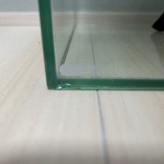 グラステリアスリム450 (45×20×22) 水槽の画像