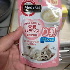 子猫用品（決定しました）