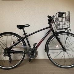 ジュニア向け自転車　シュライン　SCHLEIN 26インチ　ブリ...