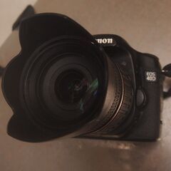 キャノンイオス４０Dとタムロン１８ミリー２００ミリの画像
