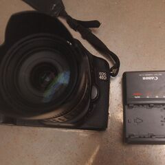 キャノンイオス４０Dとタムロン１８ミリー２００ミリの画像