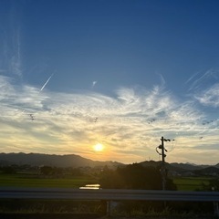 気軽にお散歩♪ - 大阪市