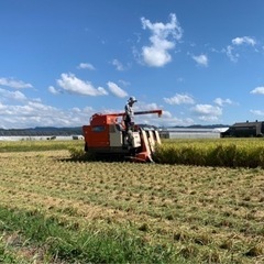 令和5年度　ヒノヒカリ　30kg 玄米