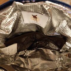 【美品】レッシグ　キッズリュック（保温保冷機能付）の画像