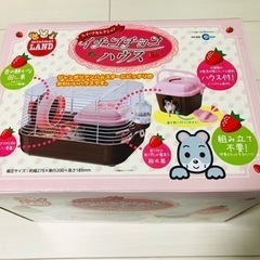 イチゴチョコハウス