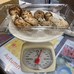 秋田県産　天然　松茸（マツタケ）の画像