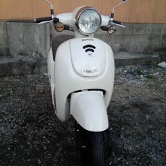 ホンダ、ジョルノAF 70の画像
